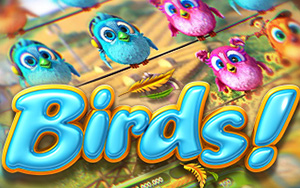 Birds!