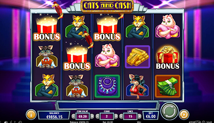 Cats and Cash